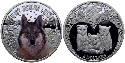Ниуэ 2 доллара 2014 Западносибирская лайка медно-никель PROOF 1068-2-41