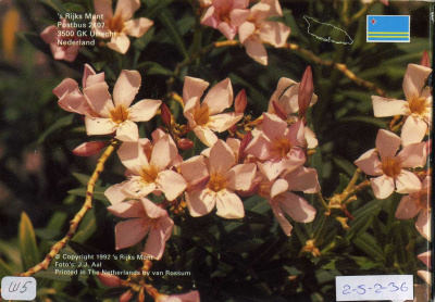 Аруба официальный набор из 6 монет 1992 в оригинальном буклете, с жетоном монетного двора KM MS7 UNC 2-5-2-36