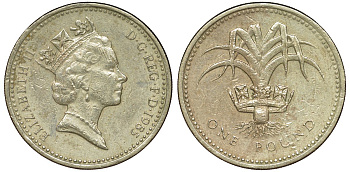 Великобритания 1 фунт 1985 Елизавета II (1952-2022) KM 941, Spink 4331 никель латунь 51-2743