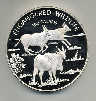 Гамбия 100 даласи 1995 сохраним наш мир, буйволы, 1 килограмм, в оригинальной коробке KM 68 серебро  PROOF 14-01-06-03