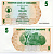 Зимбабве 5 долларов 2006 1 августа 2006, факел, Хараре Pick 38 бумага UNC (пресс) 448-52-1