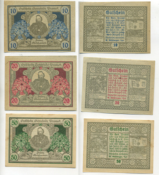 Австрия набор из 3 банкнот 1920 6 июня 1920-15 ноября 1920-30 ноября 1920, нотгельд, 10, 20, 50 геллеров, FRANZ STELZHAMER   бумага  XF 7555-9-1-2