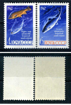СССР набор из 2 марок (4 и 6 копейки) 1962 рыбы - сазан и лещ, семга Загорский 2645 и 2646    марка с оригинальным клеем, без следов наклейки (чистая) 8707-4-9-2