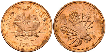 Папуа-Новая Гвинея 2 тойя 1984 Елизавета II (1953-) KM 2 бронза 4573-1251