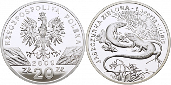 Польша 20 злотых 2009 серия сохраним наш мир, зеленая ящерица KM 679 серебро PROOF 1077-10-32