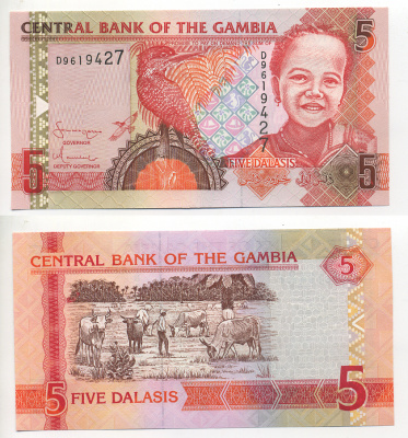 Гамбия 5 даласи ND (2006-2014) Гигантский пегий зимородок, девочка Pick 25 a бумага UNC (пресс) 6278-52-3