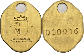 Нидерланды, Бюнсхотен жетон ND жёлтый, 000916 4368-612
