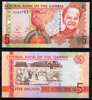 Гамбия 5 даласи ND (2006-2014) Гигантский пегий зимородок, девочка Pick 25 c бумага UNC (пресс) 7486-8-3-1
