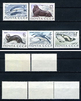 СССР набор из 5 марок (4, 6, 10, 12 и 14 копеек) 1971 Млекопитающие - обитатели морей и океанов - дельфин-белобочка, калан, нарвал, морж, тюлень-крылатка Загорский 3964, 3965, 3966, 3967 и 3968    марка с оригинальным клеем, без следов наклейки (чистая) 8