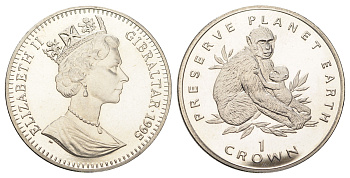 Гибралтар 1 крона 1995 Заповедник планета Земля - Магот (обезьяна) KM 306 медно-никель BU 11-087-43