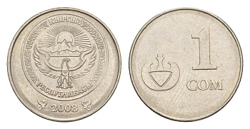 Киргизия 1 сом 2008 KM 14 сталь плакированная никелем 4632-313