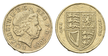 Великобритания 1 фунт 2008 Елизавета II (1952-2022) KM 1113 никель латунь 4695-842
