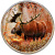 Канада 5 долларов 2012 серия Животный мир Канады, лось, в оригинальной коробке с сертификатом тираж 5000 экз., цветная эмаль серебро UNC 5-5-1-12
