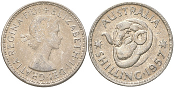 Австралия 1 шиллинг 1957 M, Елизавета II (1952-2022), овца меринос KM 59 серебро 4622-215