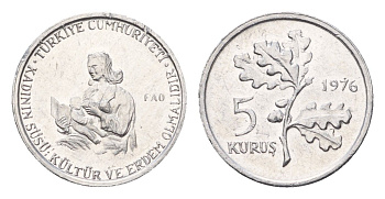Турция 5 курушей 1976 ФАО - Образование для сельских женщин KM 907 алюминий UNC 45-1228