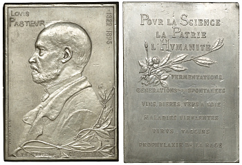 Франция плакетка 1895 Луи Пастер (1822-1895), 111мм на 81 мм посеребренная бронза 00-00
