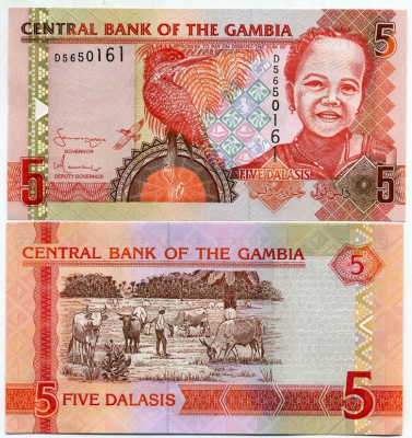 Гамбия 5 даласи ND (2006-2014) Гигантский пегий зимородок, девочка Pick 25 a бумага UNC (пресс) 448-15-2