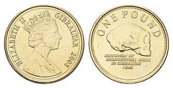 Гибралтар 1 фунт 2008 Елизавета II (1952-2022) KM 1091 никель латунь UNC 4666-432