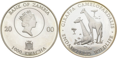 Замбия 1000 квача 2000 серия исчезающие виды, жирафы, тираж 25000 экз. серебро PROOF 04-317-44