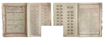 Бельгия, Haut-Fourneaux de Bielaia (Donetz) (Донецк) акция в 250 франков 1896 с 15 купонами бумага 5554-16-1-2