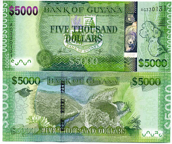 Гайана 5000 долларов ND (2013) карта Гайаны, природный ландшафт, попугай Pick 40 a (1) бумага UNC (пресс) 451-231-1