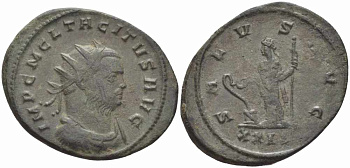 Римская Империя аврелианиан 275 Тацит SALVS AVG Рим Good Very fine RIC 93 бронза 1073-16-106
